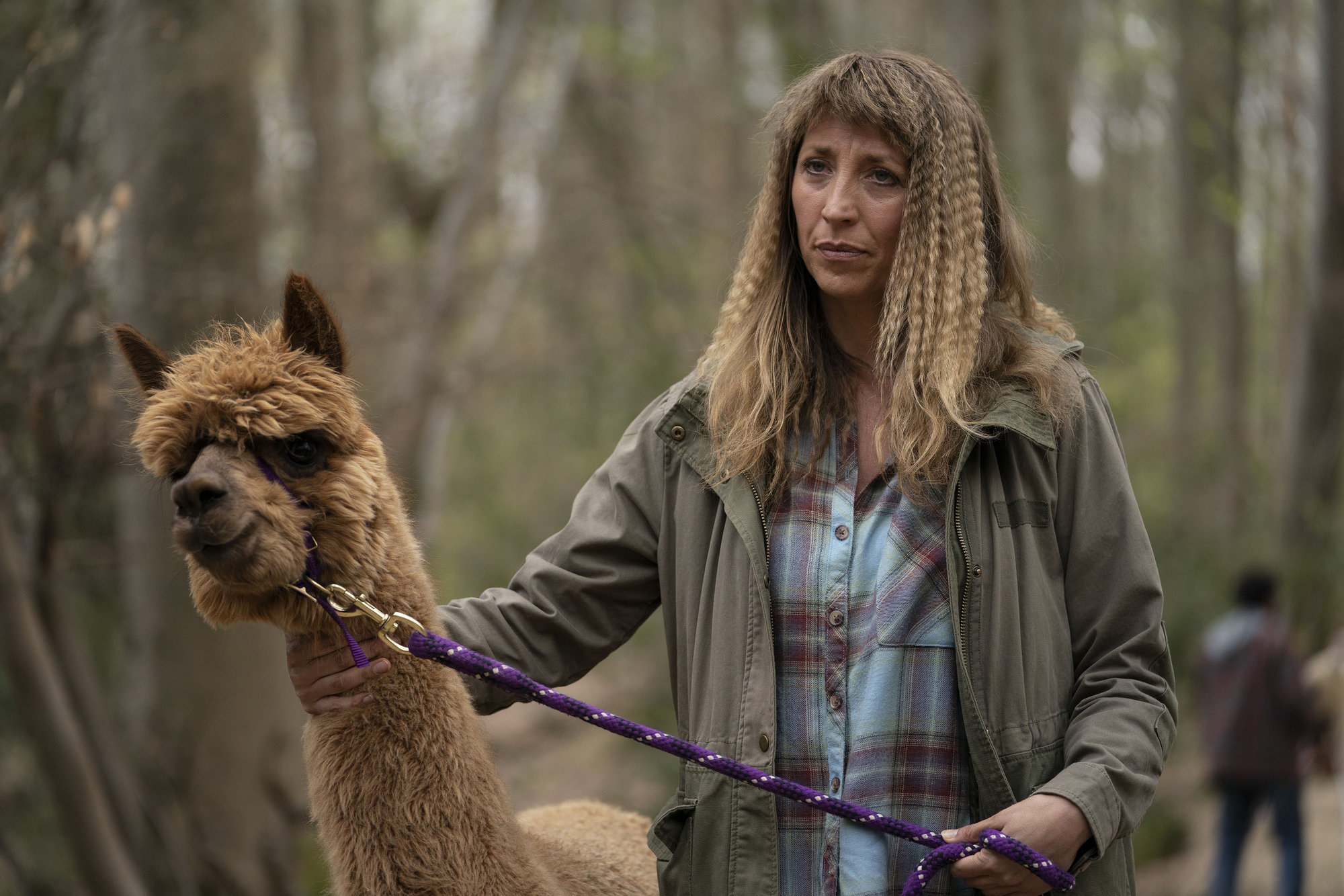 Back to Life series two review – Daisy Haggard's comedy is near-perfect TV, Television & radio