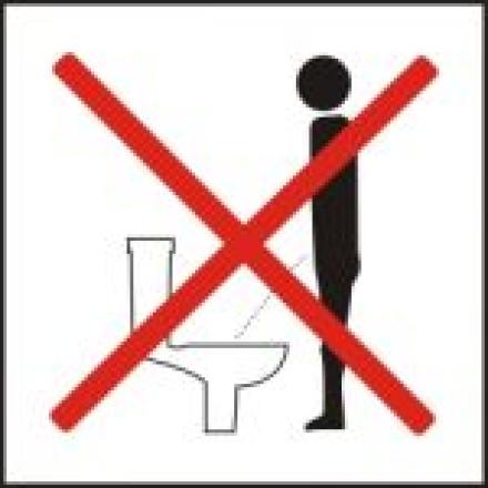 toilet toilet