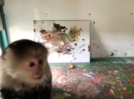 Ricky Gervais Cat Portrait By Monkey Raises Funds For Animal Charity – Bid Here Ricky Gervais Cat Portrait By Monkey Raises Funds For Animal Charity – Bid Here