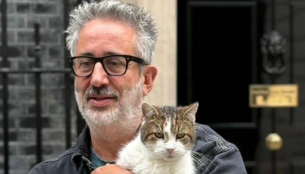 Paws For Thought – David Baddiel Makes Cat Series