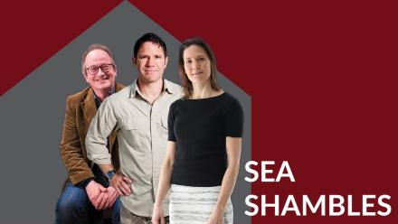 News: Sea Shambles Albert Hall Show Goes Online News: Sea Shambles Albert Hall Show Goes Online