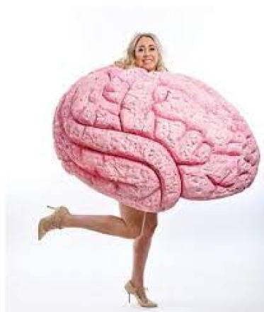 Tiff Stevenson Takes Her Sexy Brain On Tour