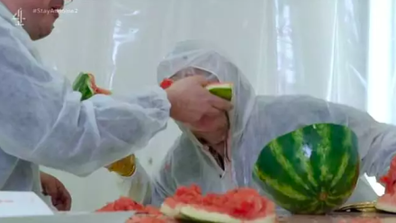 Video: Taskmaster - Richard Herring, Daisy May Cooper Feed Each Other Watermelons Video: Taskmaster - Richard Herring, Daisy May Cooper Feed Each Other Watermelons