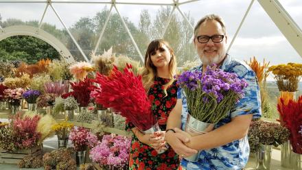 Interview: Vic Reeves And Natasia Demetriou On The Big Flower Fight, Netflix