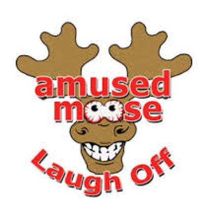 Amused Moose Amused Moose