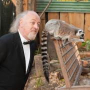 News: Comedians Join Sir David Attenborough To Save London Zoo