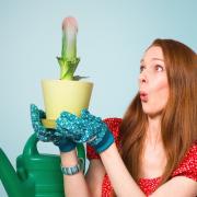 15th Annual Women in Comedy Festival Line-Up 