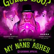 Brighton Fringe Review: Guess Boo?, Bar Broadway