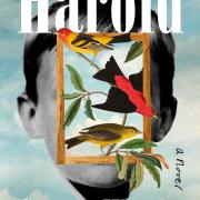 First Novel From Steven Wright