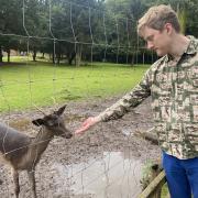 Wells Comedy Festival 2024 Announces First Shows