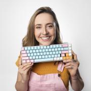 Edinburgh Fringe 2024: Rarely Asked Questions – Viv Ford