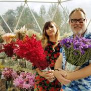 Interview: Vic Reeves And Natasia Demetriou On The Big Flower Fight, Netflix