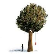Daniel Kitson Tree