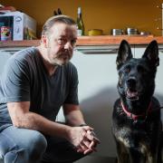 ricky gervais afterlife